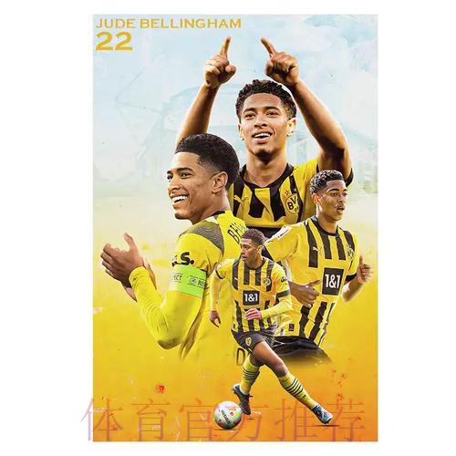 世界杯法国贝林厄姆数据统计权威解读